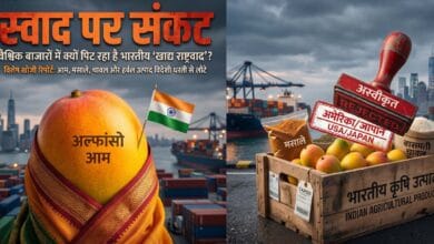 BIG TRUTH : हम खाते हैं चाव से, विदेशी मानकों में है घटिया