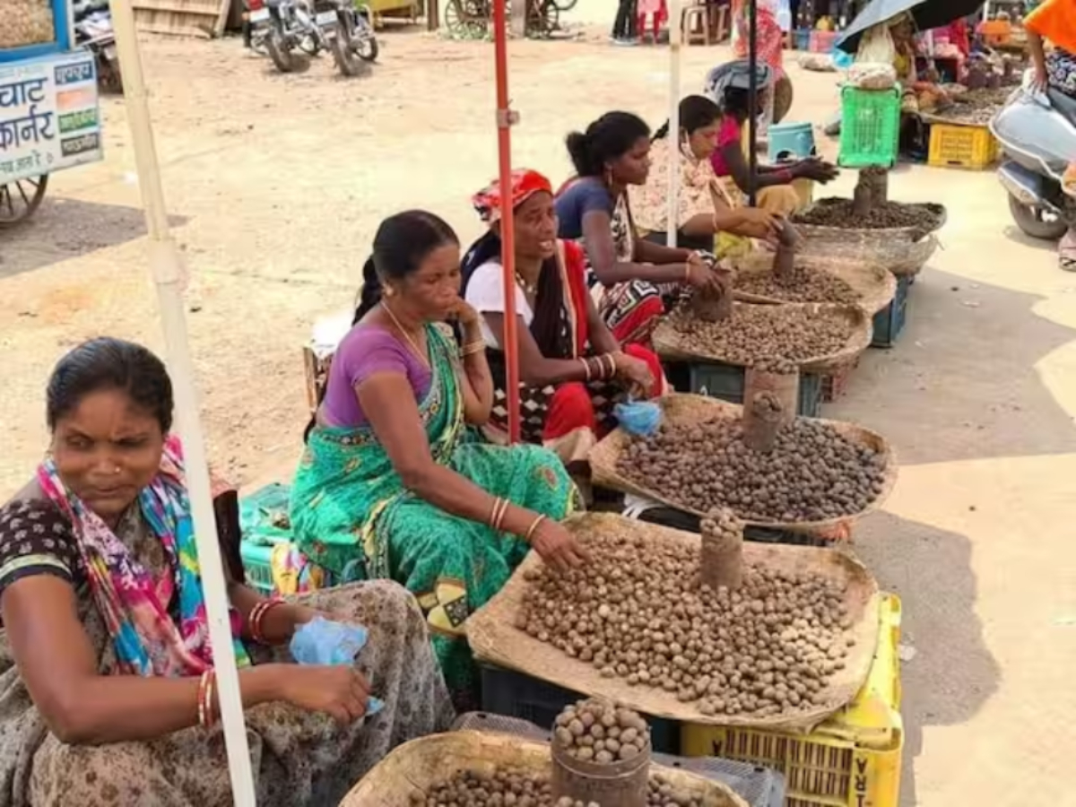 जंगलों