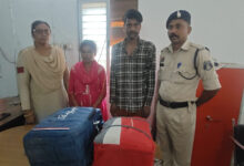 गांजा