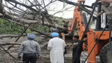 Monsoon Update, Mumbai Monsoon, Monsoon Arrival, Weather Update, Rain Alert, Storm News, Pre Monsoon Rain, Uttar Pradesh Weather, Madhya Pradesh Weather, Rajasthan Rain, Punjab Weather, Heatwave Alert, Heavy Rainfall, IMD Forecast, Monsoon 2026, Thunderstorm Alert, Lightning Strike, Weather News India, Rainstorm,