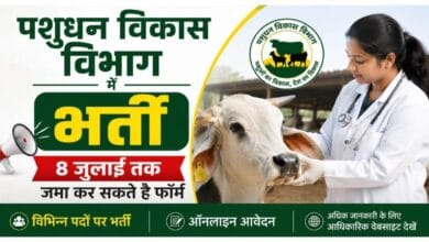 Bilaspur recruitment, Animal Husbandry Department Chhattisgarh, Veterinary Assistant Officer vacancy, DMF fund recruitment, Bilaspur jobs 2026, government jobs Chhattisgarh, rural veterinary services, livestock development department, contract recruitment India, district administration Bilaspur, veterinary field officer jobs, animal hospital staff shortage,