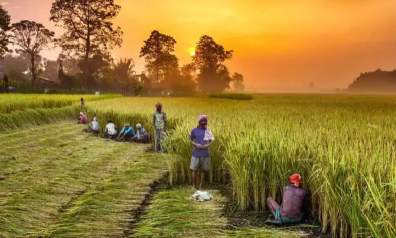 किसानों