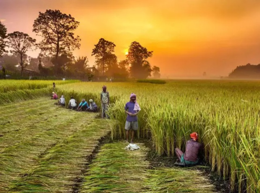 किसानों