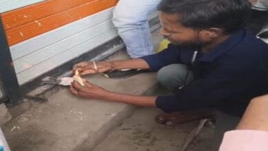निगम