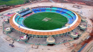 Cricket
