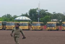 School buses