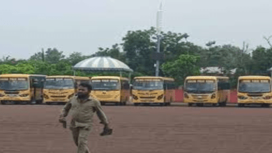 School buses