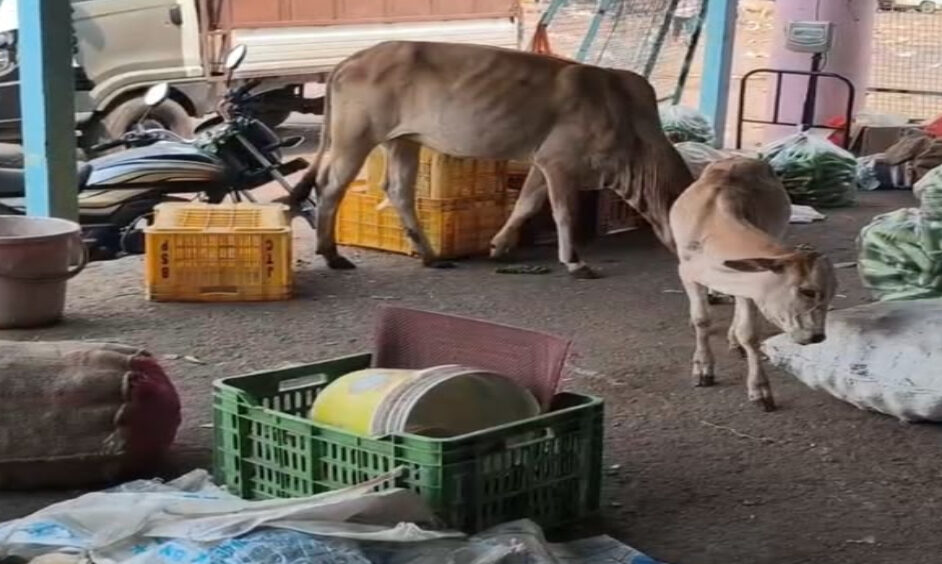 सब्जी मंडी