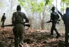 **SEO Keywords (English, comma-separated):** Chhattisgarh Maoist Surrender, Maoist Rehabilitation Policy 2025, Chhattisgarh Government, Vishnu Deo Sai, Surrendered Maoists, Naxal Rehabilitation Scheme, ₹6.60 Crore Approved, 66 Surrendered Maoists, Maoist Surrender Incentive, Naxal Surrender Policy, Chhattisgarh Naxal News, Bijapur Maoists, Rehabilitation Grant, Monthly Stipend 10000, 36 Months Allowance, Mainstream Rehabilitation, Anti Naxal Initiative, Chhattisgarh News, Bastar News, Government Rehabilitation Scheme