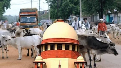 supreme court
