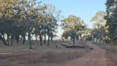 बारिश