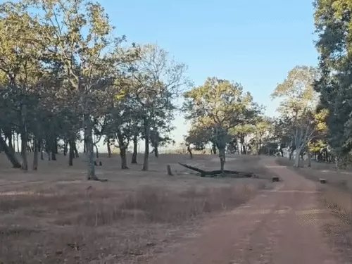 बारिश