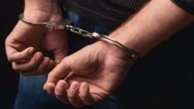 hahbaz Ansari Syndicate, Rishabh Kapoor Arrest, Delhi Crime Branch, Delhi Crime, Arms Smuggling, International Arms Smuggler, Shahbaz Ansari, Lawrence Bishnoi, Deepak Khatri, Foreign Pistols, Glock Pistols, Turkish Glock Pistols, 13 Cartridges, Illegal Weapons, Arms Smuggling Network, Vasant Vihar, Delhi Police, Crime Branch, UAPA, Gangster Network, Weapon Supply, Criminal Syndicate, Delhi News, Crime News, Arms Trafficking, International Crime,