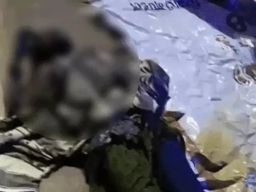पंडाल