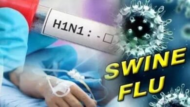 Swine Flu, Swine Flu in Chhattisgarh, Chhattisgarh Swine Flu, Swine Flu Cases, Swine Flu Update, Swine Flu News, Raipur Swine Flu, Raipur News, Chhattisgarh Health News, Health Department, Swine Flu Patients, 46 New Cases, 298 Cases, Active Cases, 113 Active Patients, Home Isolation, Hospitalized Patients, Bilaspur Swine Flu, Durg Swine Flu, Korba Swine Flu, Bastar Swine Flu, Mahasamund Swine Flu, Balodabazar Swine Flu, Rajnandgaon Swine Flu, Health News, Chhattisgarh News, Raipur Health Update, Influenza, H1N1, H1N1 Influenza, Viral Infection,