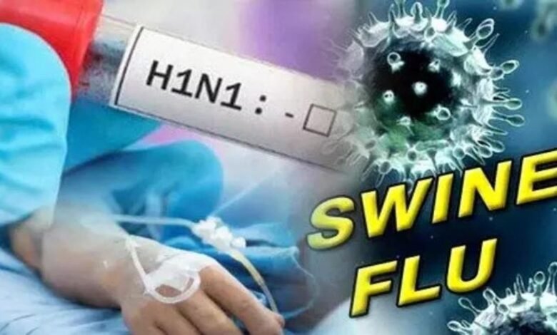 Swine Flu, Swine Flu in Chhattisgarh, Chhattisgarh Swine Flu, Swine Flu Cases, Swine Flu Update, Swine Flu News, Raipur Swine Flu, Raipur News, Chhattisgarh Health News, Health Department, Swine Flu Patients, 46 New Cases, 298 Cases, Active Cases, 113 Active Patients, Home Isolation, Hospitalized Patients, Bilaspur Swine Flu, Durg Swine Flu, Korba Swine Flu, Bastar Swine Flu, Mahasamund Swine Flu, Balodabazar Swine Flu, Rajnandgaon Swine Flu, Health News, Chhattisgarh News, Raipur Health Update, Influenza, H1N1, H1N1 Influenza, Viral Infection,