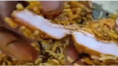 Bilaspur, Zomato, Paneer Tikka Biryani, Chicken Biryani, Grand Gulmohar Hotel, Food Delivery, Navratri, Vegetarian Family, Food Safety, Online Food Order,