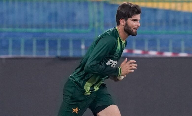 shaheen 11 4