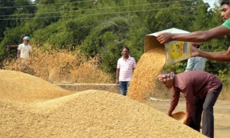 धान खरीदी